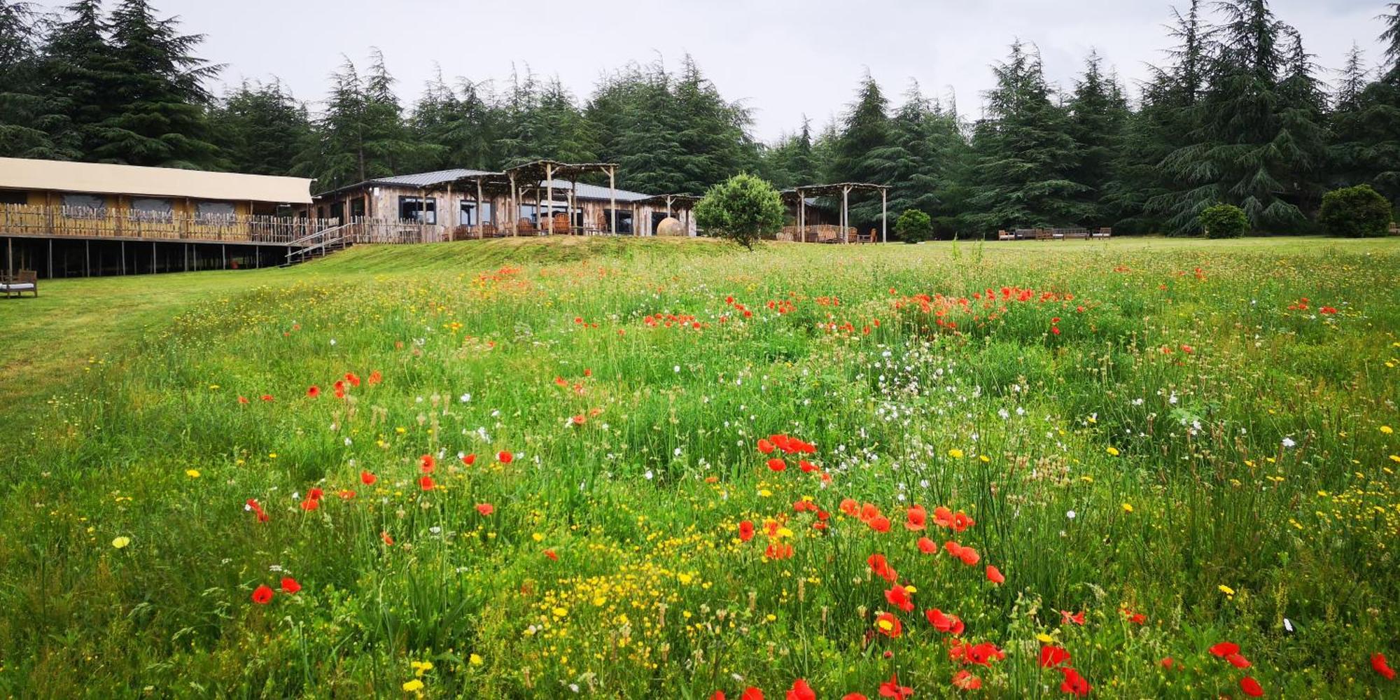 Domaine De La Vitarelle Glamping Villaniere Exterior photo